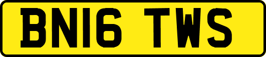 BN16TWS