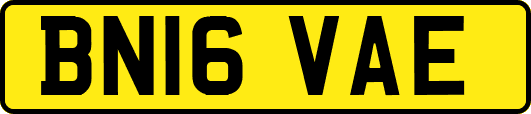 BN16VAE