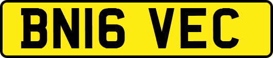 BN16VEC