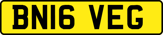 BN16VEG