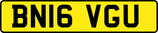 BN16VGU