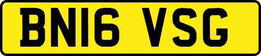 BN16VSG