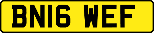 BN16WEF
