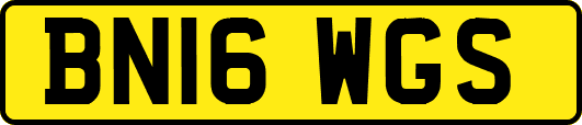 BN16WGS