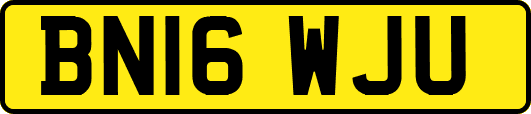 BN16WJU