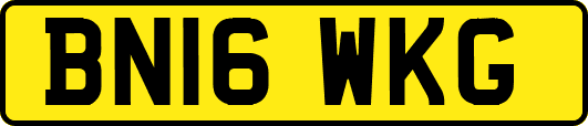 BN16WKG