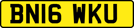 BN16WKU