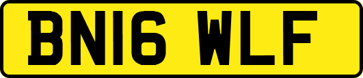 BN16WLF