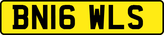 BN16WLS