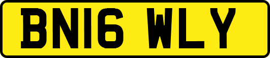 BN16WLY
