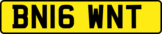 BN16WNT