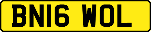 BN16WOL
