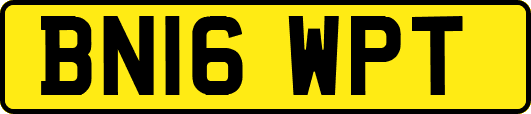 BN16WPT