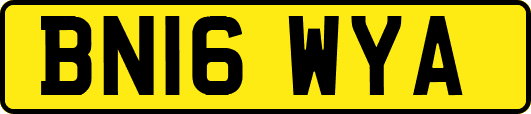 BN16WYA