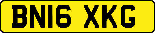 BN16XKG