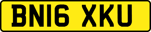 BN16XKU