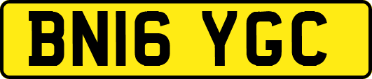 BN16YGC