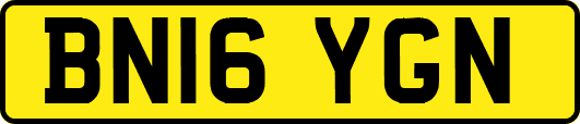 BN16YGN