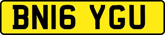 BN16YGU