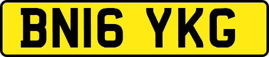 BN16YKG