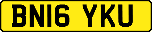 BN16YKU