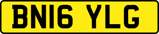 BN16YLG