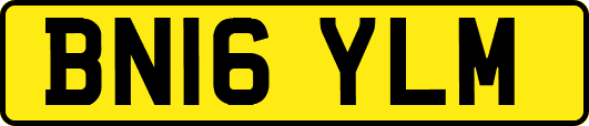 BN16YLM