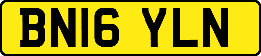 BN16YLN