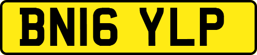 BN16YLP
