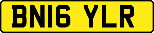 BN16YLR
