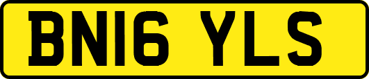 BN16YLS