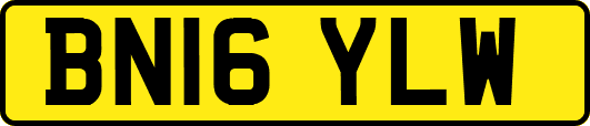 BN16YLW