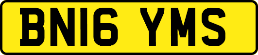 BN16YMS