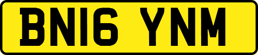 BN16YNM