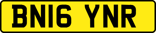 BN16YNR