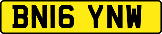 BN16YNW