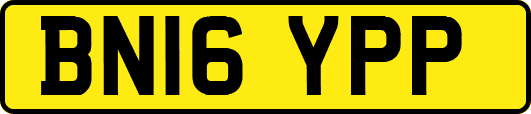 BN16YPP