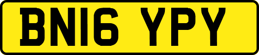 BN16YPY