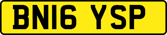 BN16YSP
