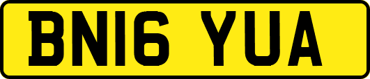 BN16YUA
