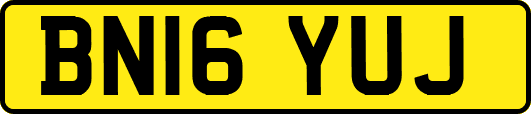 BN16YUJ