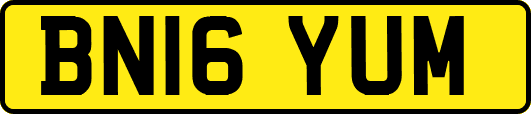 BN16YUM