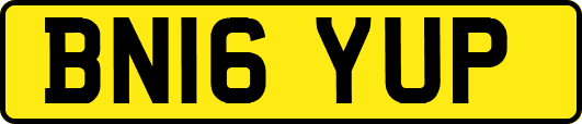 BN16YUP