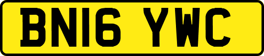 BN16YWC