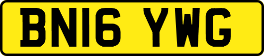 BN16YWG