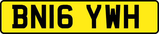 BN16YWH