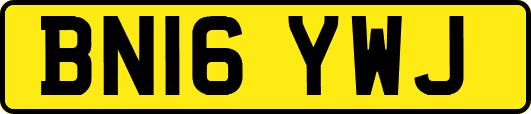 BN16YWJ