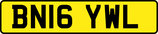 BN16YWL