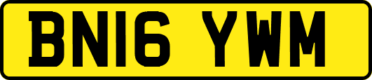 BN16YWM