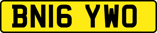 BN16YWO